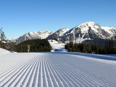 Pistepreparatie Tennengau – Pistepreparatie Dachstein West – Gosau/Russbach/Annaberg