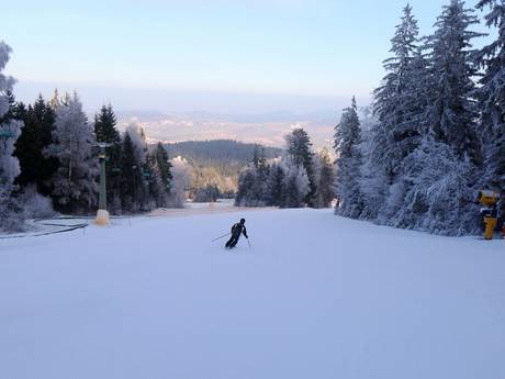 Pisteaanbod Noord-Beieren – Pisteaanbod Hohenbogen – Neukirchen bei Hl. Blut