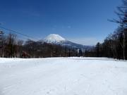 Gemakkelijke piste Final Fling (Niseko Village)