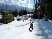 Afdaling Holiday naar het dalstation