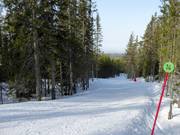 Piste Baldersbacken nr. 14