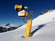 Krachtige besneeuwing