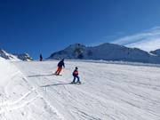 Gemakkelijke Furglerblickafdaling