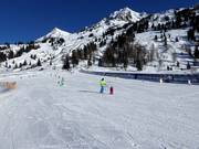 Oefenweide in Bobbys Monsterpark met overdekte transportband