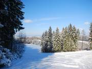 De onderste piste loopt in een bocht om het bosgebied heen.