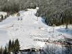 Skigebieden voor beginners in het district Gmunden – Beginners Dachstein West – Gosau/Russbach/Annaberg