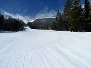 Beginnerspiste Jackelope