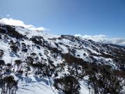 Freeride- en poedersneeuwhellingen in het bovenste gedeelte van Thredbo