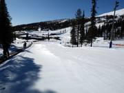 Oefenweide met transportband