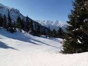 Afdaling nr. 2 van de Arbiskogel