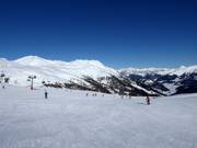 Brede Schönebenafdal