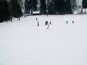 Gemakkelijke piste bij de Golfplatzlift