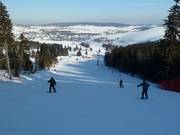 Piste 3 Pařezovka