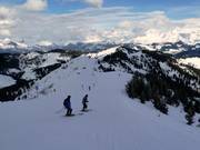 Afdaling Controverse