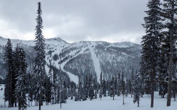 Grootste hoogteverschil in het regionaal district Central Kootenay – skigebied Whitewater – Nelson