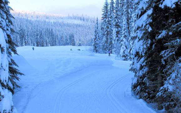 Langlaufen Interior Plateau – Langlaufen Sun Peaks