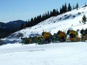 Sneeuwkanonnen zijn er in overvloed