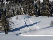 De loipes zijn geprepareerd voor de klassieke stijl en de skatingstijl.