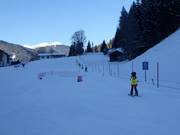 Babylift Viehhofen - Sleeplift/babyllift