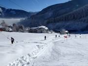 Fallegglift - Sleeplift met T-beugel/Ankerlift