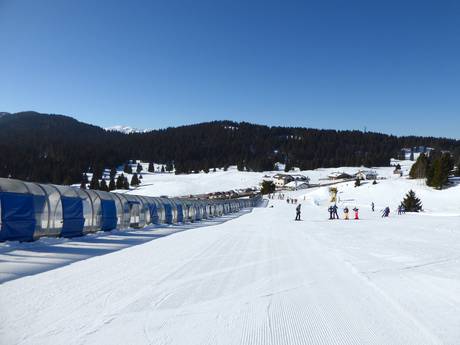 Skigebieden voor beginners in het geldigheidsgebied van Skirama Dolomiti – Beginners Folgaria/Fiorentini