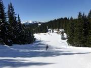 Märchenwiesenafdaling Planai