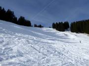 Moeilijke Weiherkopf FIS-herenafdaling