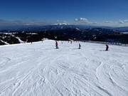 Makkelijke piste bij de stoeltjeslift Lachtal