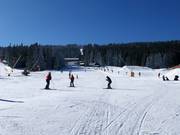 Gemakkelijke piste Pod Zámečkem