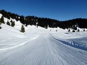 Makkelijke familieafdaling in Grasgehren