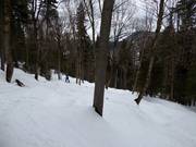 Moeilijke bosafdaling La Chûte