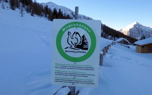 Gailtaler Alpen: milieuvriendelijkheid van de skigebieden – Milieuvriendelijkheid Goldeck – Spittal an der Drau