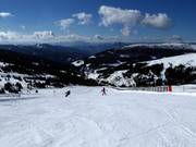 Gemakkelijke piste Kircherlhang