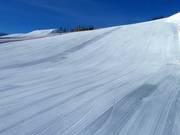 Perfecte piste in Alpendorf