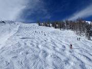 Buckelpiste bij de Mitterhausbahn (Planai)