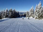 Hirschboden-afdaling