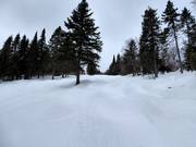 Moeilijke buckelpiste op de Mont-Sainte-Anne