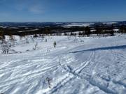 Vrij skigebied/diepsneeuwskiën