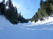 Piste Lower Olympic