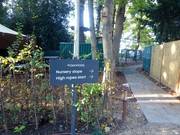 Bebording naar de piste