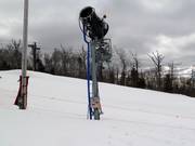 Sneeuwkanon in het snowpark
