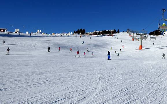 Skigebieden voor beginners in de vakantieregio Seiser Alm – Beginners Seiser Alm (Alpe di Siusi)