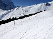 Wildbeschermingszones worden afgezet