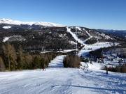 Zwarte Kruckenafdal 2