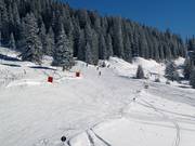 Feldernanger afdaling