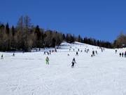 Gemakkelijke Zirbenafdalingen