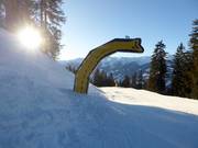 Funty-piste in Zell