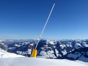 Sneeuwlans bij de Wiedersberger Horn