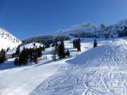 Pistes rond de Gorialm
