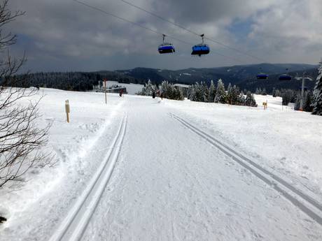 Langlaufen Hochschwarzwald – Langlaufen Feldberg – Seebuck/Grafenmatt/Fahl